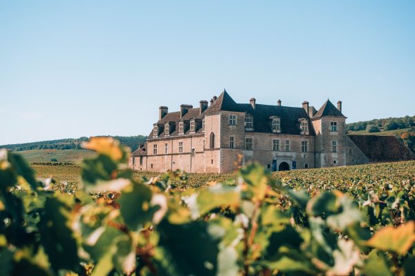 clos de vougeot bourgogne france
