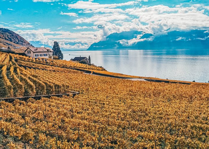 lavaux