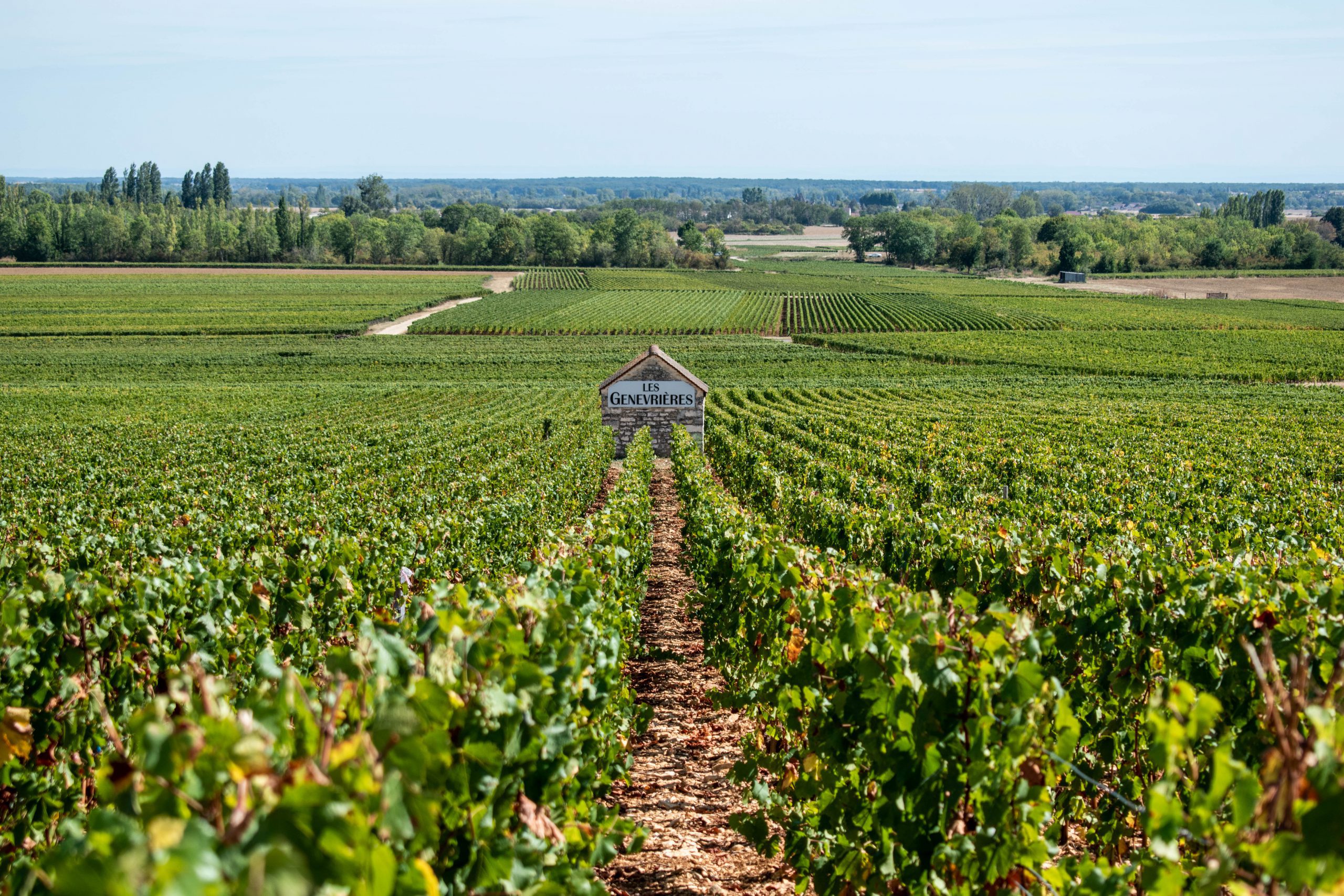Lire la suite à propos de l’article Yvoire