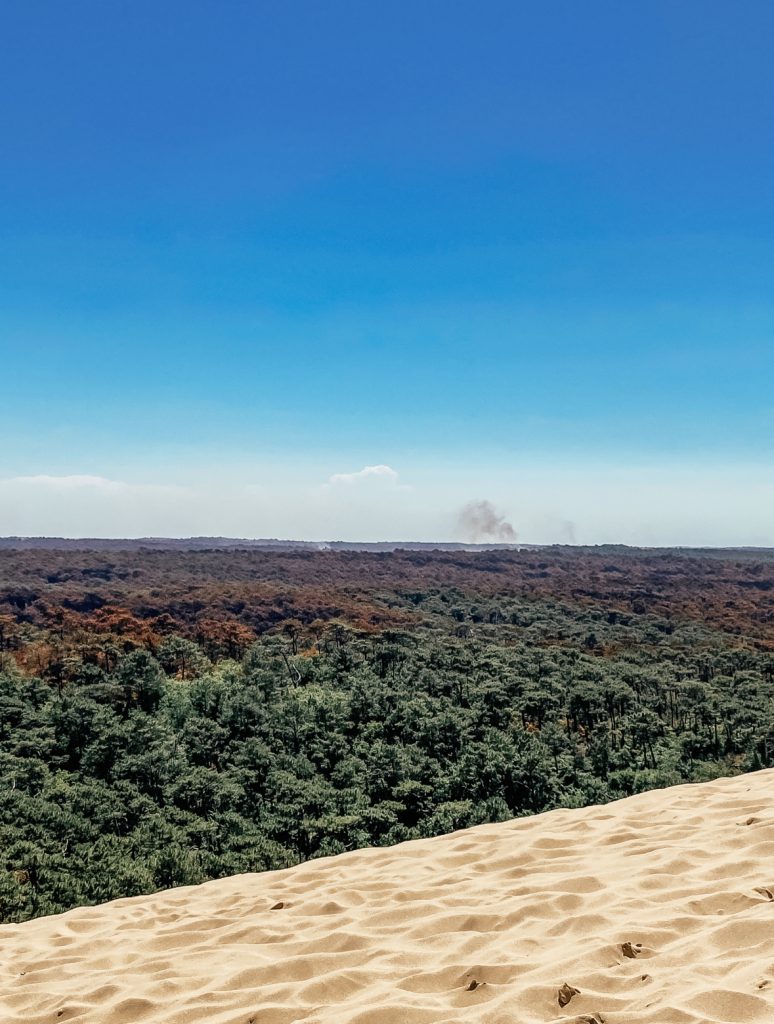 dune du pilat incendies